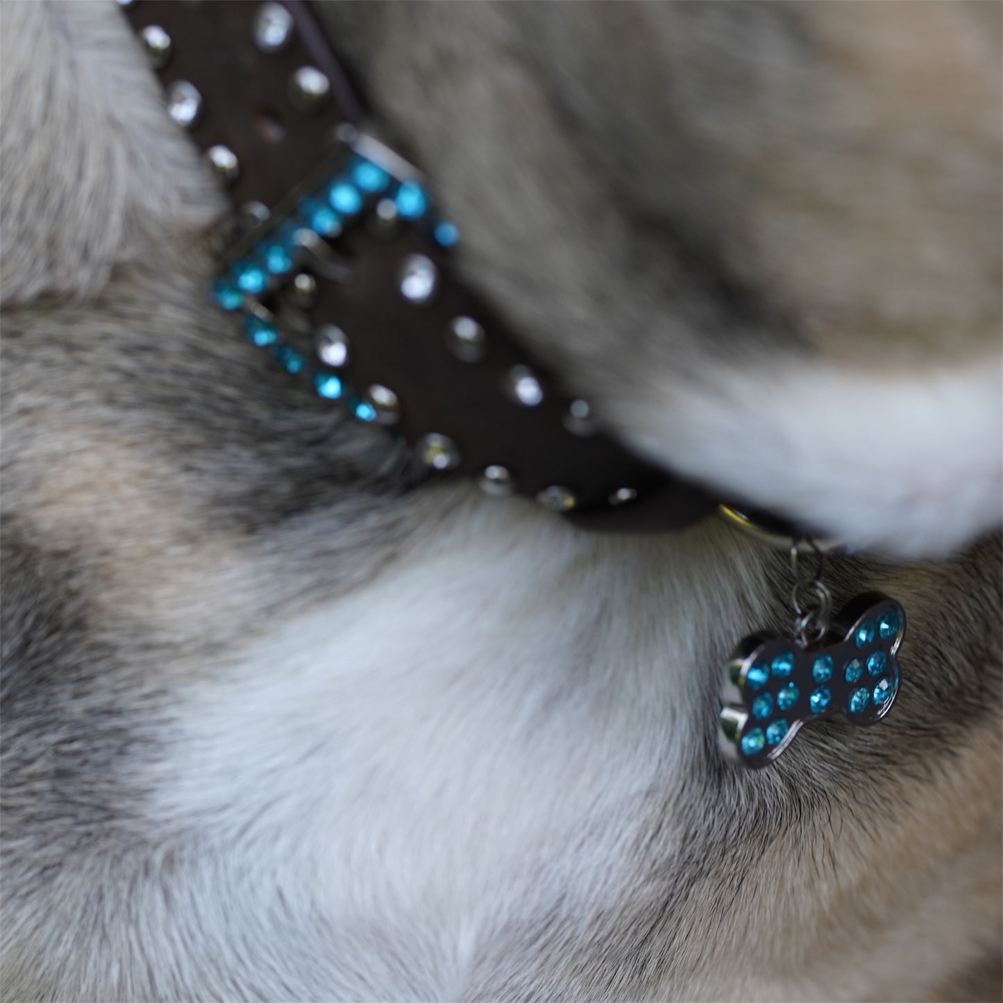 Trendy Dog Collars Beaded Leather Belts High Quality Craft Belts.