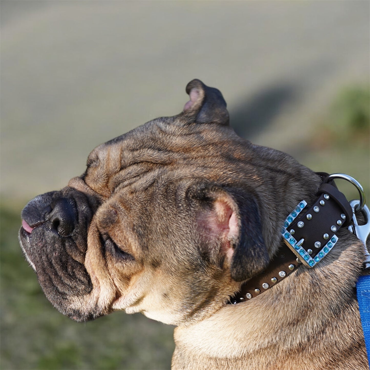 Trendy Dog Collars Beaded Leather Belts High Quality Craft Belts.