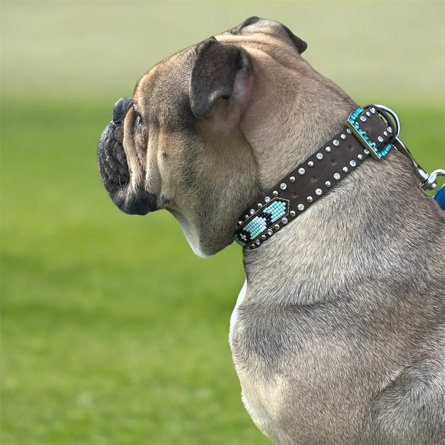 Trendy Dog Collars Beaded Leather Belts High Quality Craft Belts.